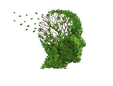 MemoryCare.jpg