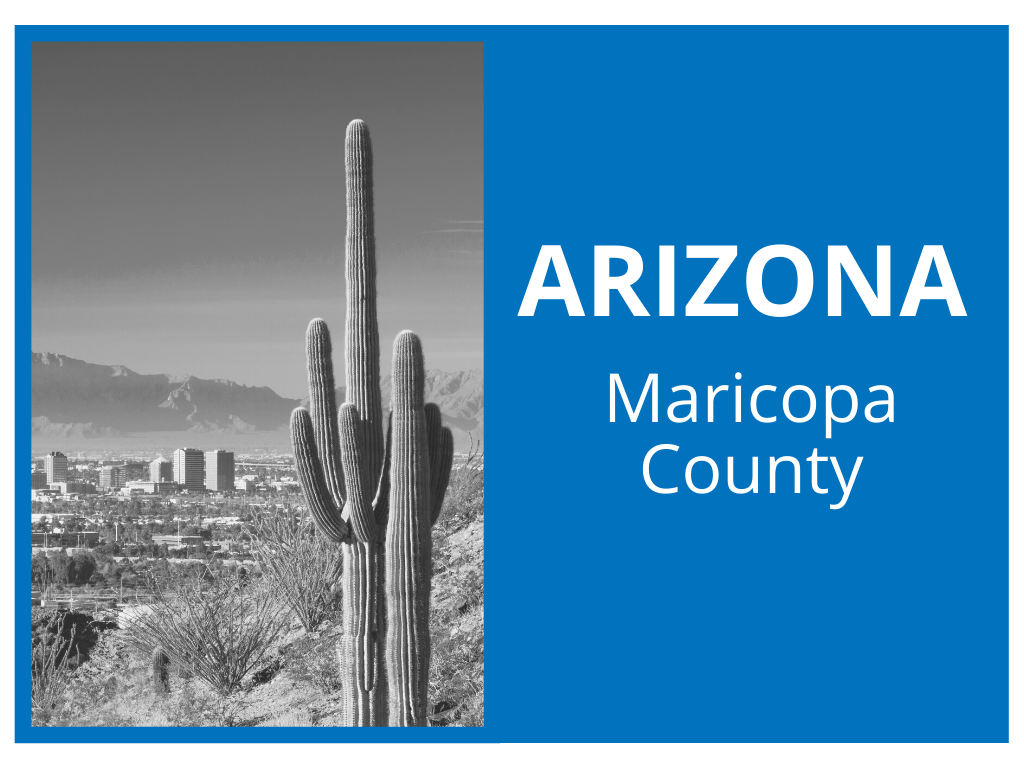 Arizona graphic