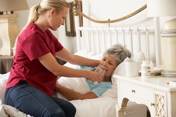 Welltrained Caregivers